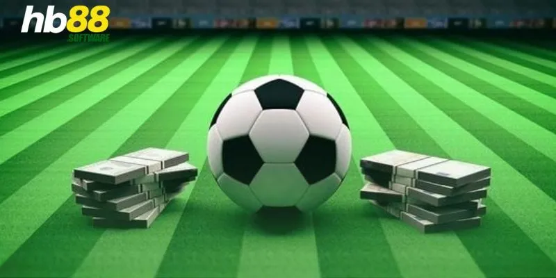 Bí quyết soi kèo hiệu quả từ chuyên gia HB88